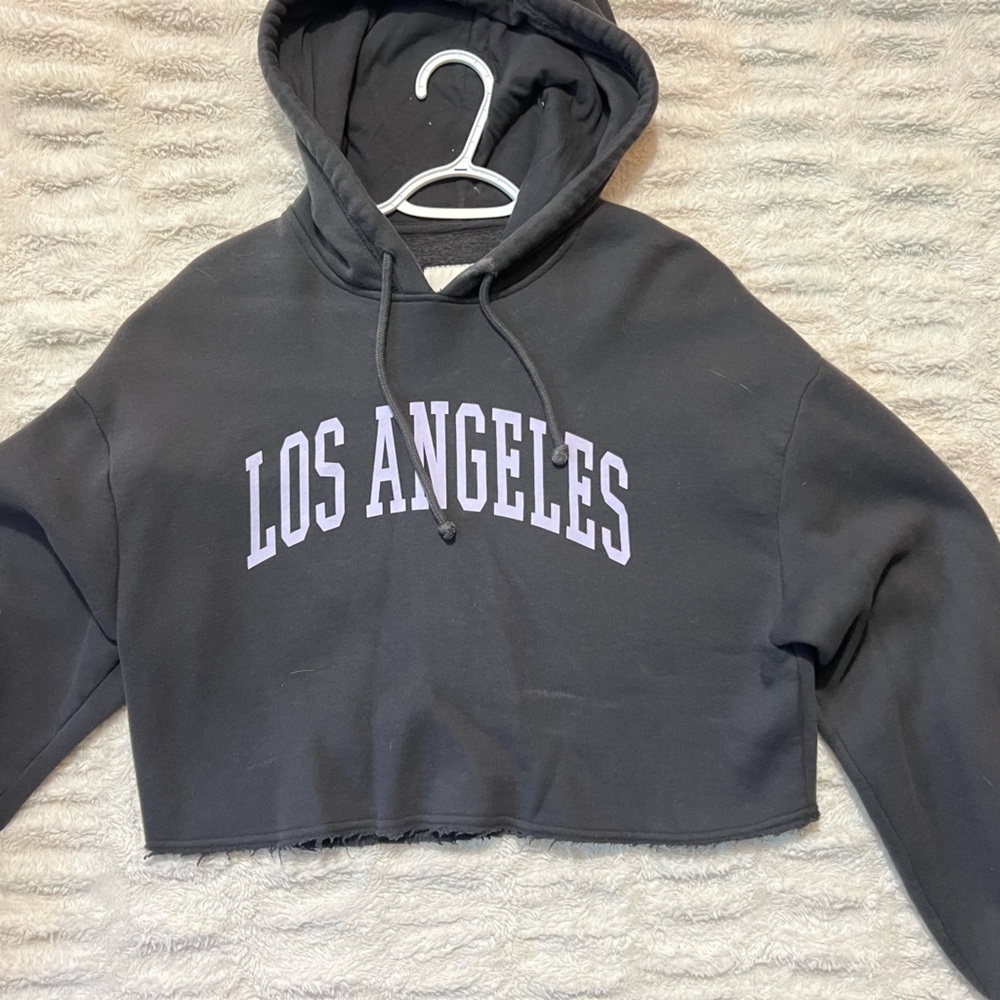 Hollister Gray Los Angeles Cropped Hoodie